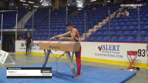 Aidan Li - Pommel Horse, Loyalist Gymnastics Club - 2019 Elite Canada - MAG