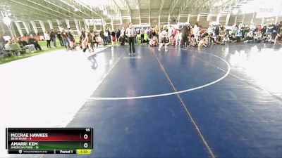 95 lbs Round 2 (4 Team) - McCrae Hawkes, Bear RIver vs Amarri Kem, American Fork