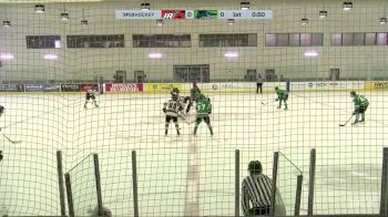 Replay: Home - 2024 Jr. Hurricanes vs FL Jr. Blades | Dec 20 @ 9 AM