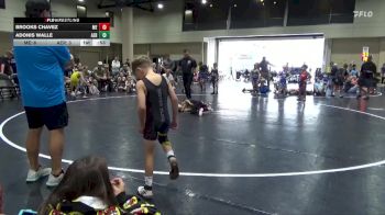 45 lbs Round 2 (6 Team) - Brooks Chavez, Moyer Elite vs Adonis Walle, Alabama Elite Black