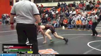 195 lbs Quarterfinal - Kale Hopke, AMERY (WI) vs Cole Matulenko, LIBERTYVILLE
