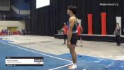 Niko Greenly - Floor, High Sierra Gymnastics - 2021 USA Gymnastics Development Program National Championships