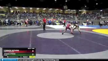 119 lbs Quarterfinal - Ethan Stock, Viper vs Connor Nething, Rock Of Redmond