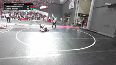 125 lbs Champ. Round 2 - Linken Bastien, Askren Wrestling Acadamy vs Henley Pruchnofski, Neenah