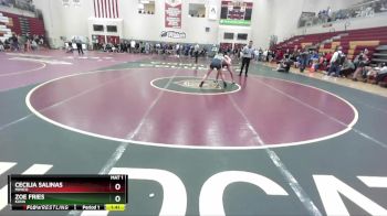 138 lbs Champ. Round 2 - Zoe Fries, Kuna vs Cecilia Salinas, Minico