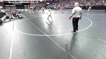 D1-120 lbs Cons. Semi - Kade Parrish, Reedsburg Area vs Oliver Larson, River Falls