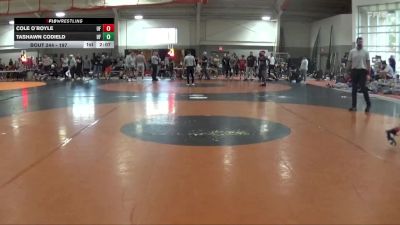 197 lbs Prelim - Cole O`Boyle, Central Michigan vs Tashawn Codield, Salem University