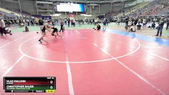 157 lbs Cons. Round 2 - Christopher Bauer, Hillsboro Wrestling Club vs Vlad Maluhin, Illinois