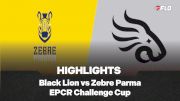 Black Lion vs Zebre Parma Match EPCR Challenge Cup Round 4