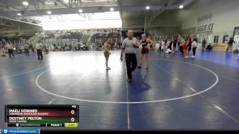 170 lbs Quarterfinal - Destiney Pelton, Snow Canyon vs Maeli Howard, Sanderson Wrestling Academy