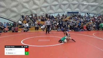 50 lbs Quarterfinal - Gavin Lamb, West Allegheny vs Dominic Baiano, South Fayette