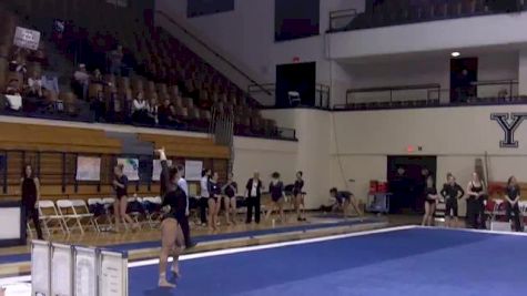 Brown (Danielle Hoffman) - 9.425