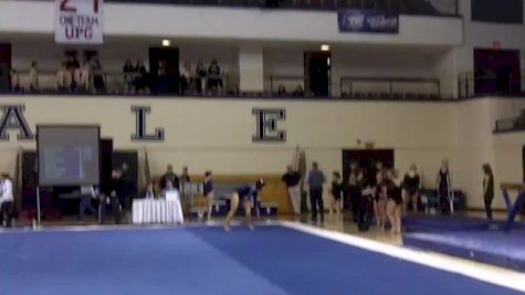 Yale (Joyce Li) - 9.550