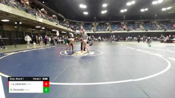 144 lbs Cons. Round 1 - Andrew Peterson, Morris vs Andres Saucedo, Glenbard West