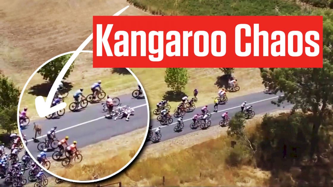 How Jay Vine Survived A Kangaroo Crash To Win Down Under