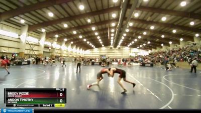 126 lbs Champ. Round 3 - Andon Timothy, Skyridge vs Brody Pizzie, Cedar Valley