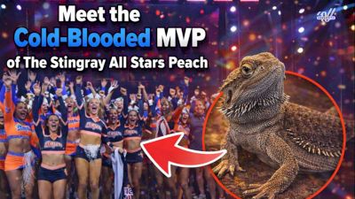 Meet the Cold-Blooded MVP of The Stingray All Stars Peach