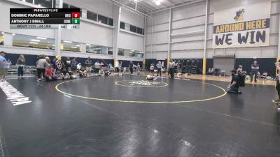 54 lbs 3rd Place - Dominic Paparello, Bristol vs Anthony J Small, Oswego