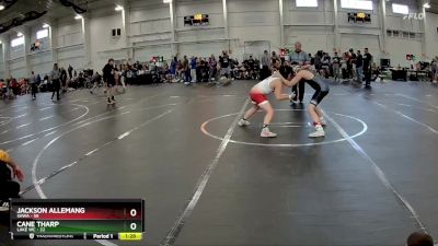 110 lbs Round 5 (10 Team) - Jackson Allemang, SHWA vs Cane Tharp, Lake WC