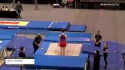 Jeffrey Gluckstein - Individual Trampoline, ETA - 2021 USA Gymnastics Championships