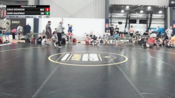 135 lbs Rr Rnd 6 - Cole Cichocki, Michigan Premier Red - BHS vs Luke Galipeau, DoughBoy WC - BHS