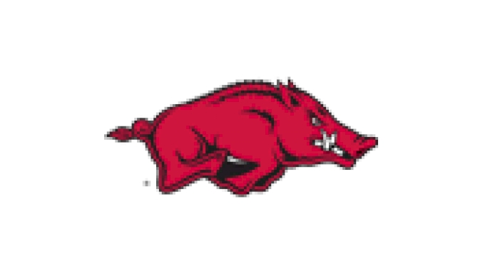 Arkansas logo