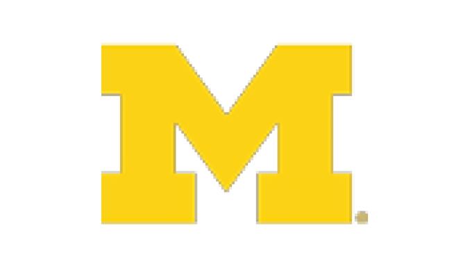 Michigan logo