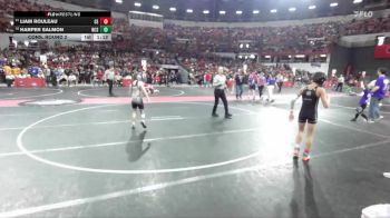 90 lbs Cons. Round 2 - Liam Rouleau, Chippewa Elite vs Harper Salmon, North Crawford Seneca