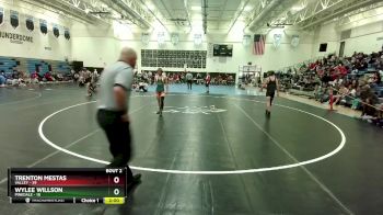126 lbs Round 2 (3 Team) - Wylee Willson, Pinedale vs Trenton Mestas, Valley