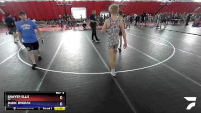 149 lbs Cons. Semi - Sawyer Ellis, WI vs Radic Dvorak, IL