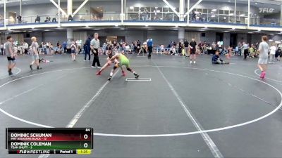 84 lbs Finals (2 Team) - Dominic Schuman, Mat Assassins Black vs Dominik Coleman, Team Shutt