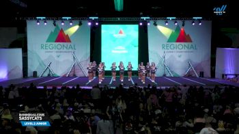 Diamonds All Stars - Sassycats [2025 L2 Junior Day 2] 2025 The Southeast Regional Summit