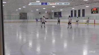 Replay: Home - 2024 Xtreme vs OHA Edmonton | Nov 24 @ 12 PM