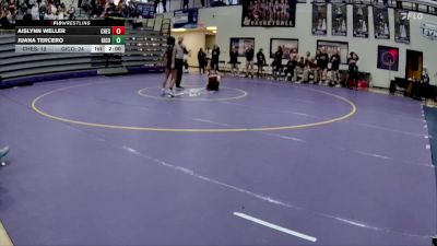 100 lbs Quarterfinals (8 Team) - Aislynn Weller, Chestatee vs Allison Hernandez, Gilmer County