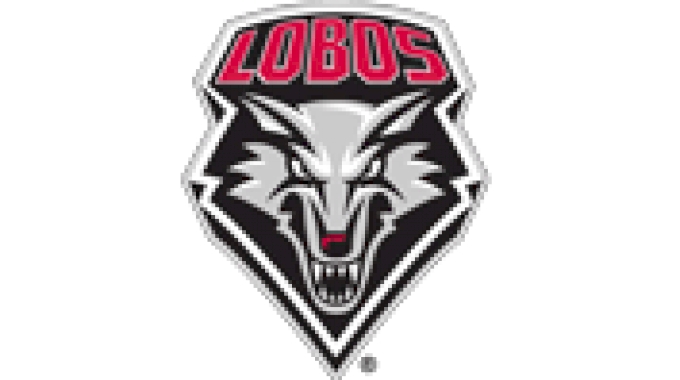 New Mexico logo