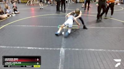 65 lbs Round 4 (6 Team) - Logan Lakhlani, SWAT Black vs Jackson Bish, Ragin Raisins WC