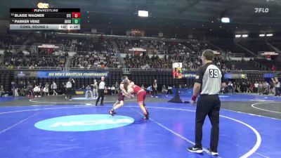 197 lbs Cons. Round 3 - Parker Venz, Augsburg vs Blaise Wagner, Stevens