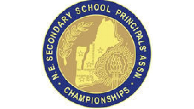 cnesspa_logo_2.jpg