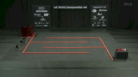 Lexington HS "Lexington SC" at 2024 WGI Color Guard World Championships