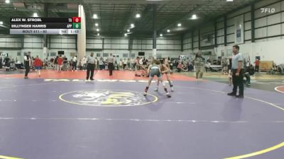 80 lbs 1st Place Match - Dillynger Harris, Appomattox vs Alex W. Strobl, Darkhorse Wrestling Club