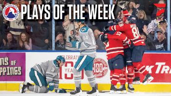 Have You Ever Seen A Penguin Dive Goal Before?