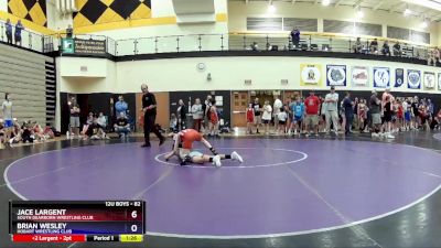 82 lbs Quarterfinal - Jace Largent, South Dearborn Wrestling Club vs Brian Wesley, Hobart Wrestling Club