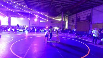 74 lbs 2nd Place - Lady Harris, Toss Em Up Wr Ac vs Maddilynn Willden, 208 Badgers