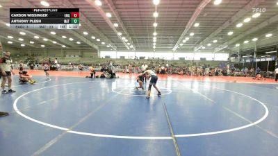 100 lbs Rr Rnd 3 - Carson Wissinger, Eagles Wrestling vs Anthony Plesh, Mat Warriors Blue
