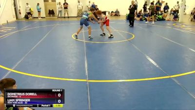 130 lbs Round 1 (8 Team) - Dometrius Dorell, Delaware vs Liam Springer, New York Blue