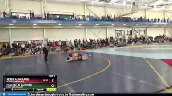 157 lbs Champ. Round 2 - Jesse Alvarado, Averett University vs Hunter O`Connor, Lycoming College