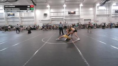 96 lbs Round 7 (8 Team) - Luca Baiano, Donahue WA vs Nathan Truesdell, SHWA