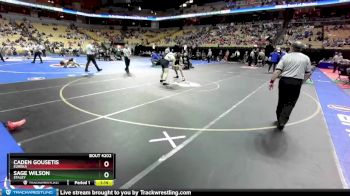 157 Class 4 lbs Quarterfinal - Caden Gousetis, Eureka vs Sage Wilson, Staley