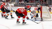 AHL Power Rankings: Back On The Bus For The Charlotte Checkers