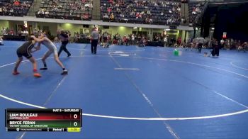 90 lbs Semifinal - Liam Rouleau, Chippewa Elite vs Bryce Feran, Victory School Of Wrestling